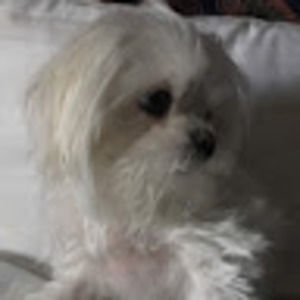 Meet your Posher, Regina